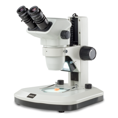 Zoom Stereo Microscope